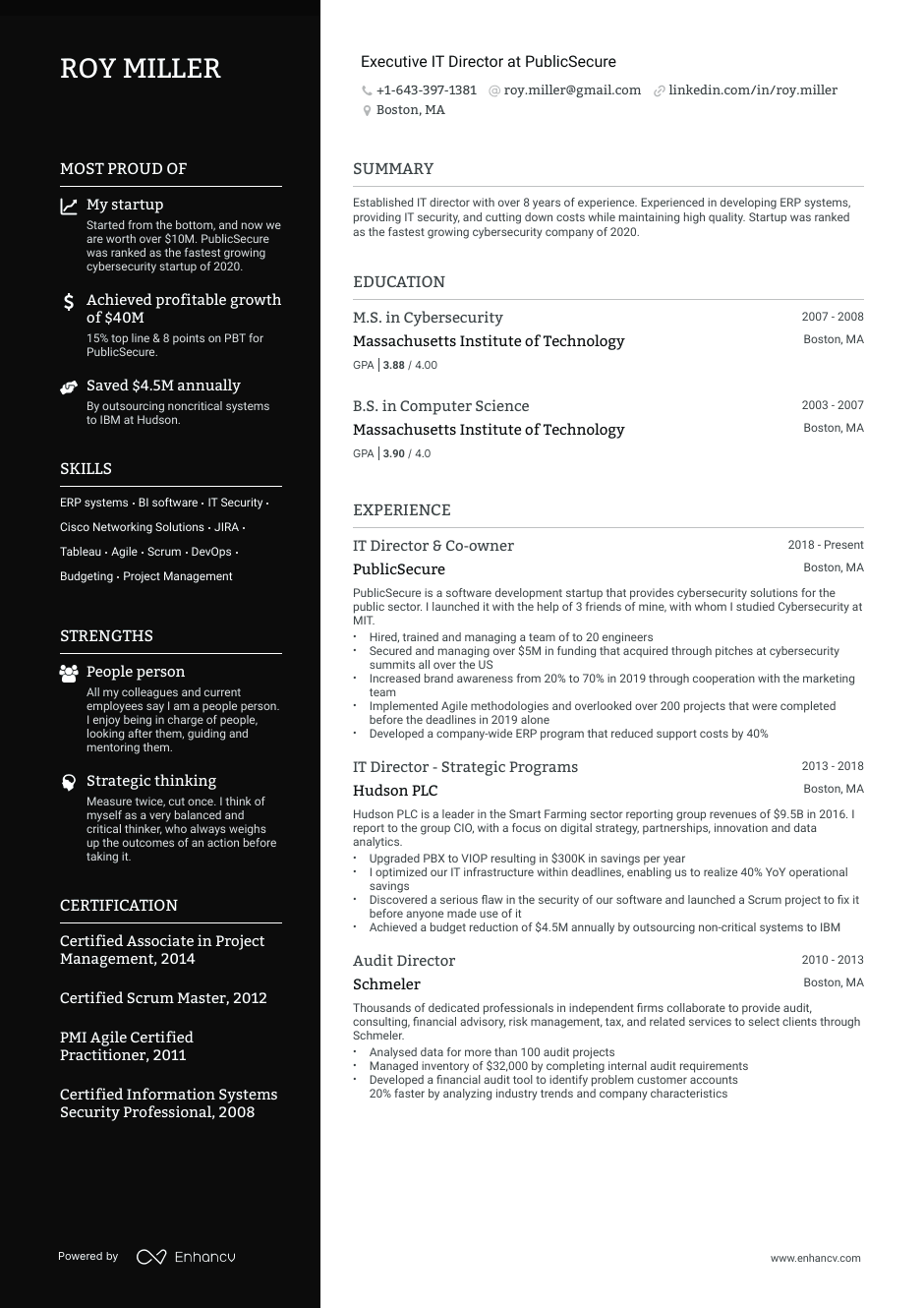 Executive IT director resume example