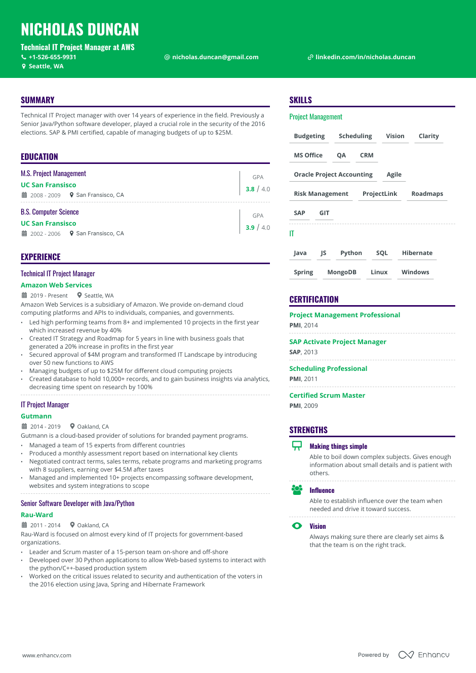Technical IT project manager resume example
