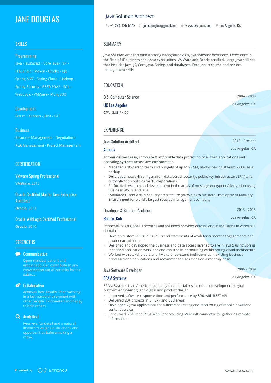 Java solutions architect resume example