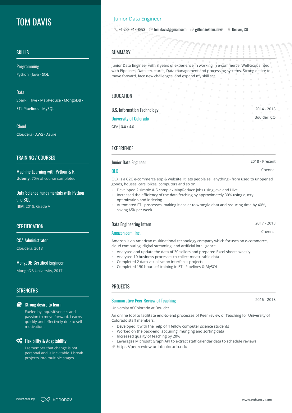 8 Data Engineer Resume Examples Guide For 2023