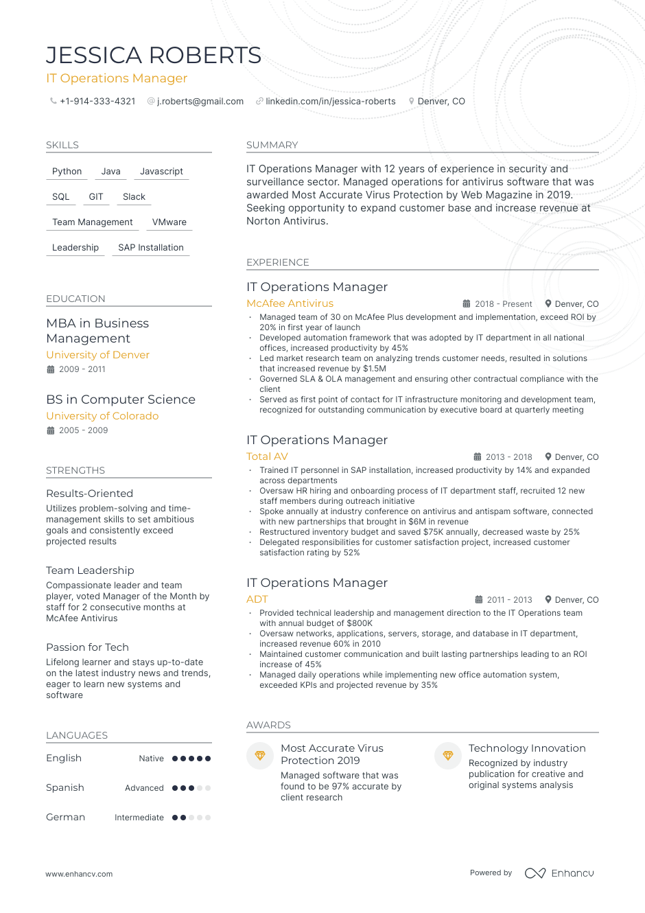 IT operations manager resume example