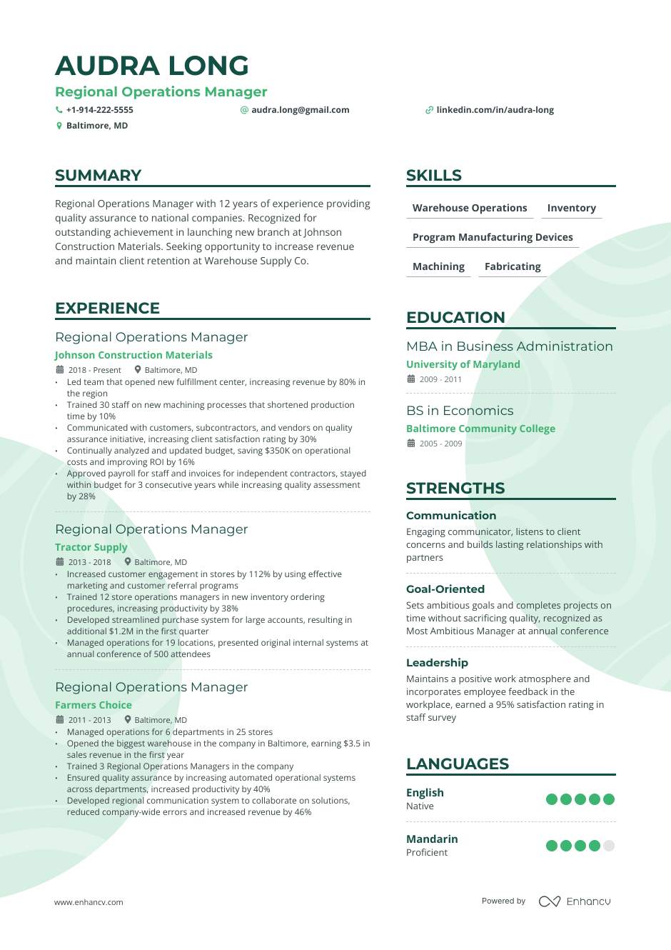 Regional operations manager resume example