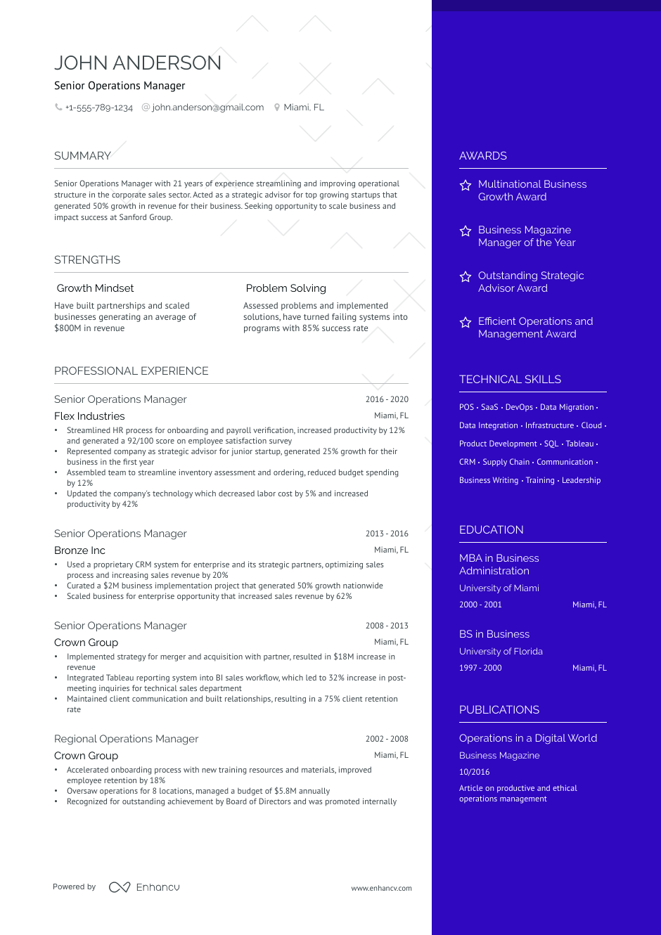 Senior operations manager resume example
