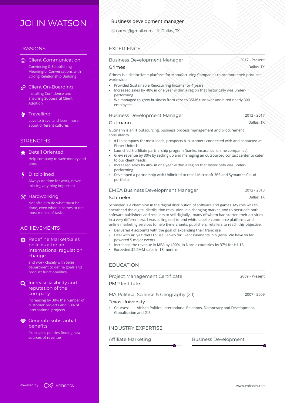 Business development manager resume example