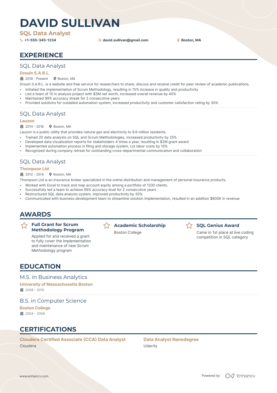 7 Data Analyst Resume Examples & Guide for 2023