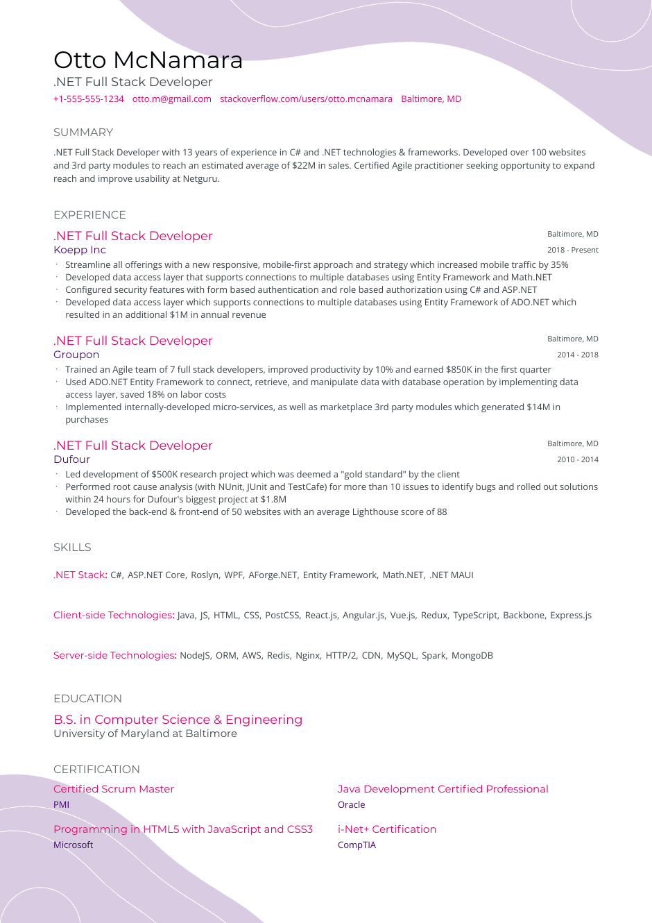 .NET full stack developer resume example