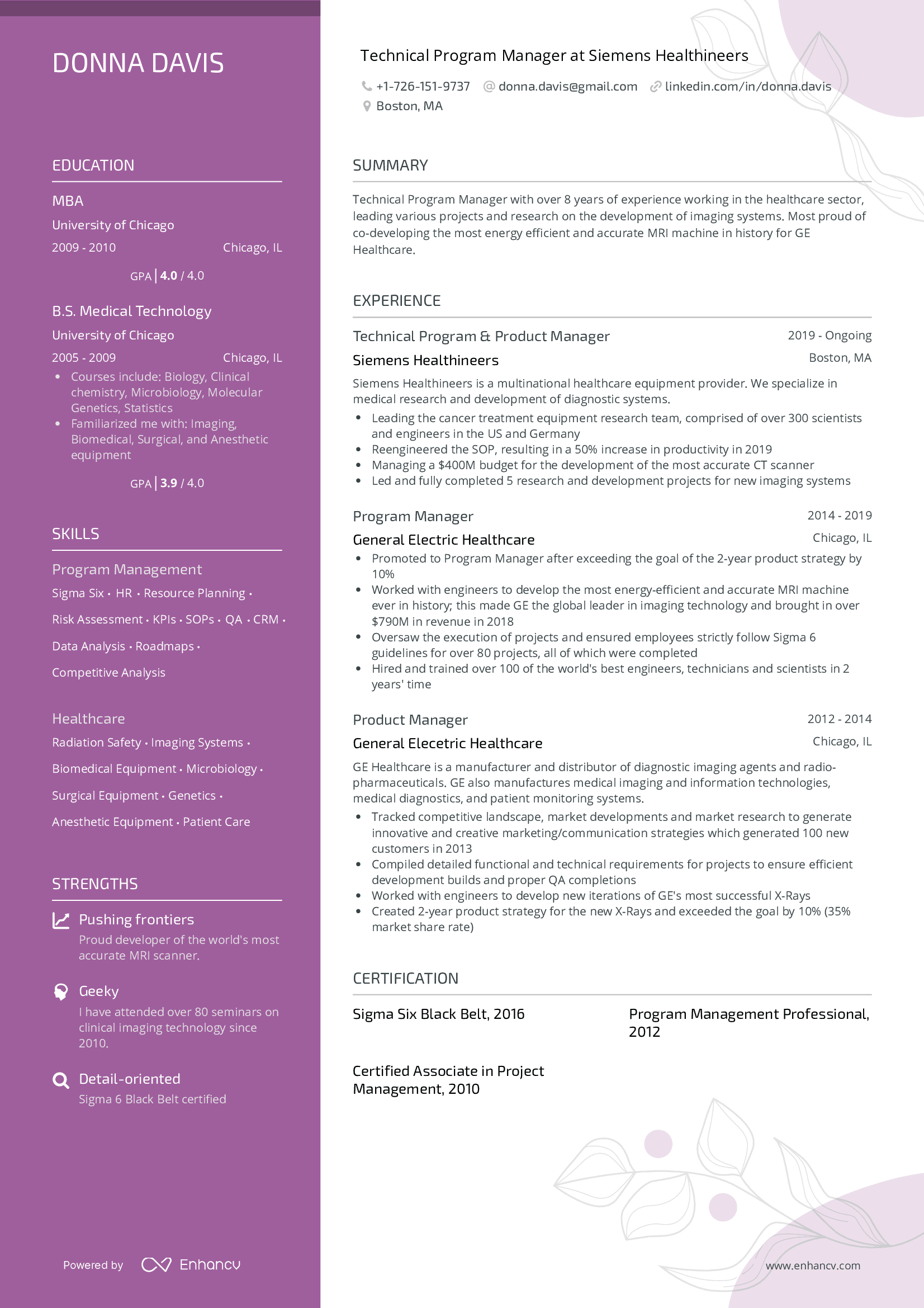 technical program manager resume.png