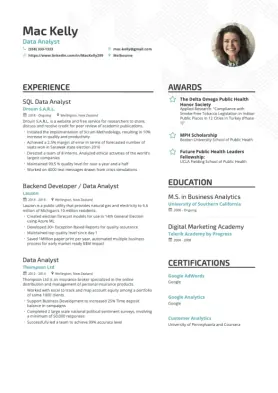Resume template 7
