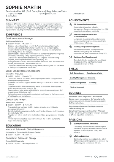 15 Auditor Resume Examples & Guide for 2025