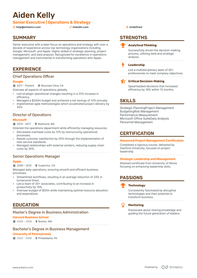 17 Executive Resume Examples & Guide for 2024