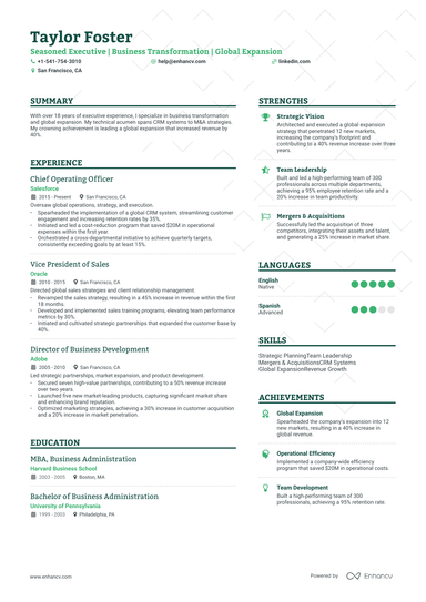 17 Executive Resume Examples & Guide for 2024