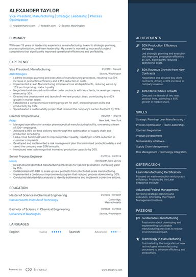 17 Executive Resume Examples & Guide for 2025