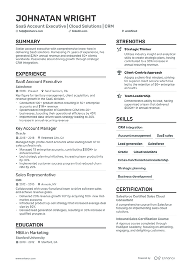 12 Account Executive Resume Examples & Guide for 2025