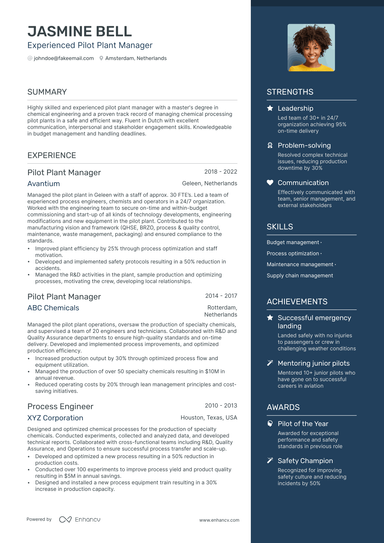 4 Pilot Resume Examples & Guide for 2025