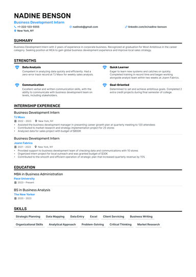 13 Business Development Resume Examples & Guide for 2024