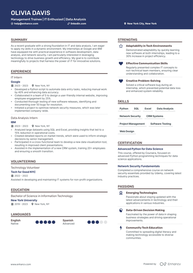 6 IT Resume Examples & Guide for 2025