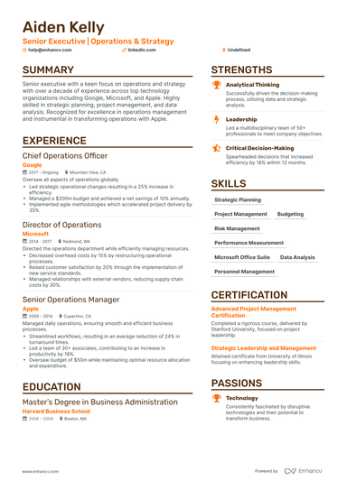 17 Executive Resume Examples & Guide for 2024