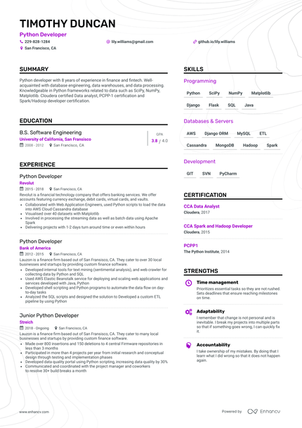 Simple Python Developer Resume Template