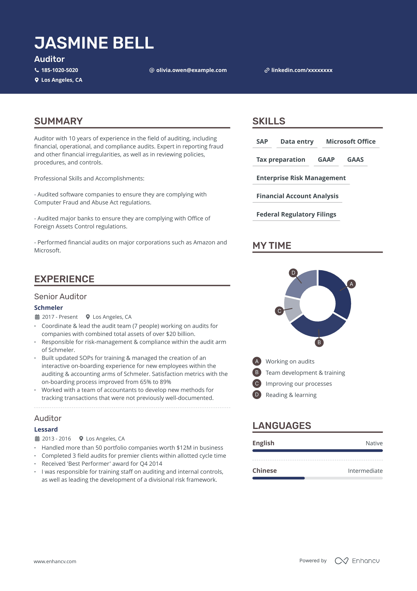 Auditor resume example