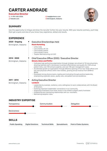 Executive Director Resume Examples & Guide for 2023 (Layout, Skills ...