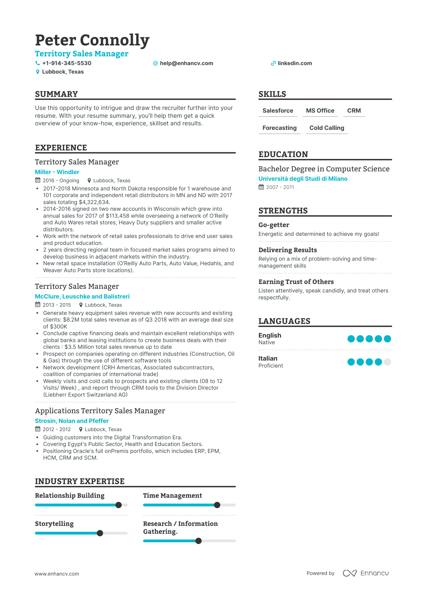 Territory Sales Manager Resume Examples & Guide for 2023 (Layout ...