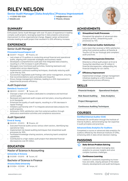 15 Auditor Resume Examples & Guide For 2024