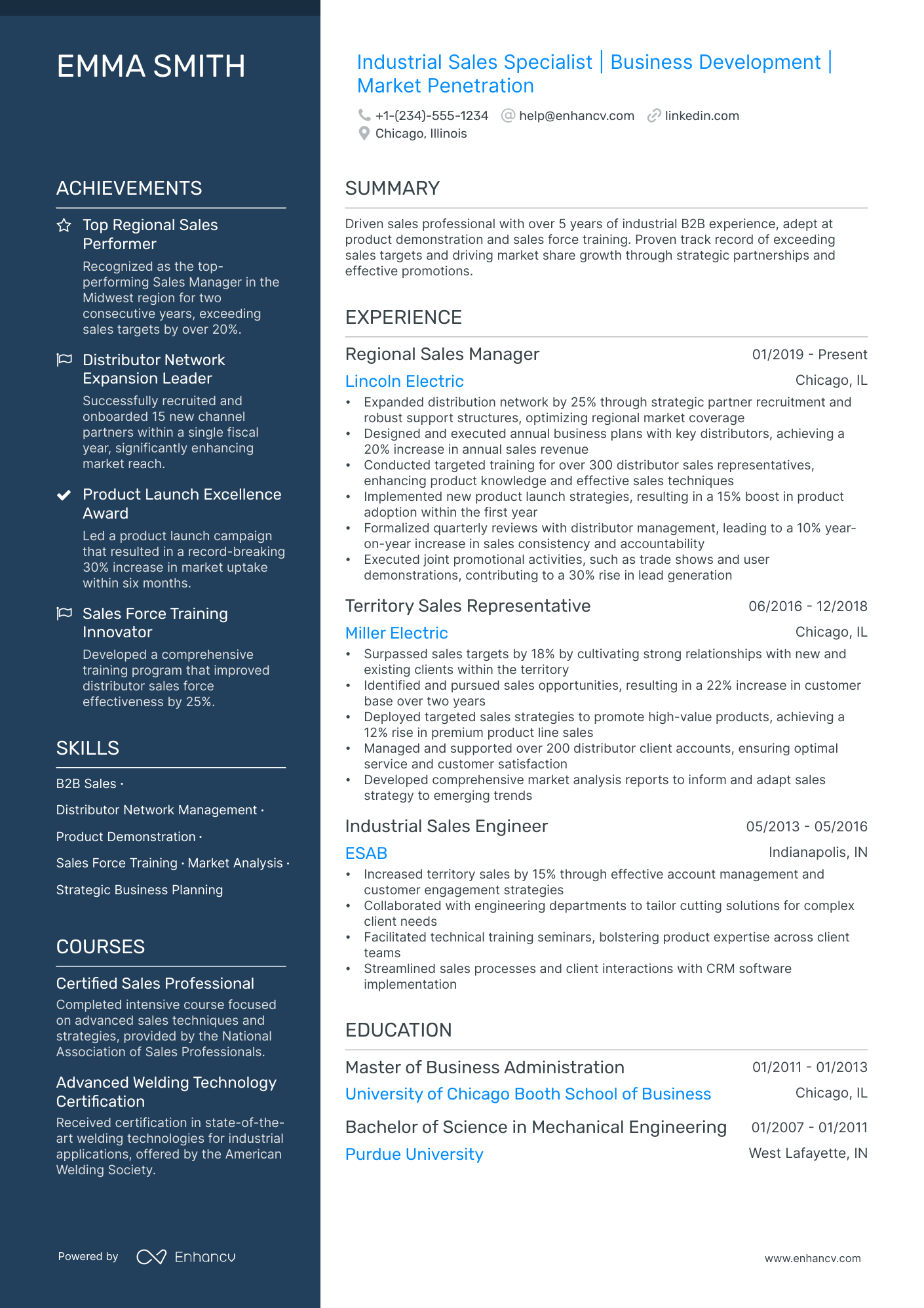 5 Distribution Sales Manager Resume Examples & Guide for 2024