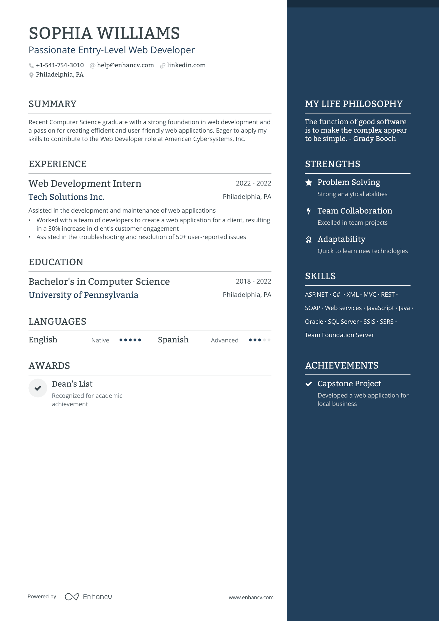 5 Entry-Level IT Resume Examples & Guide for 2024