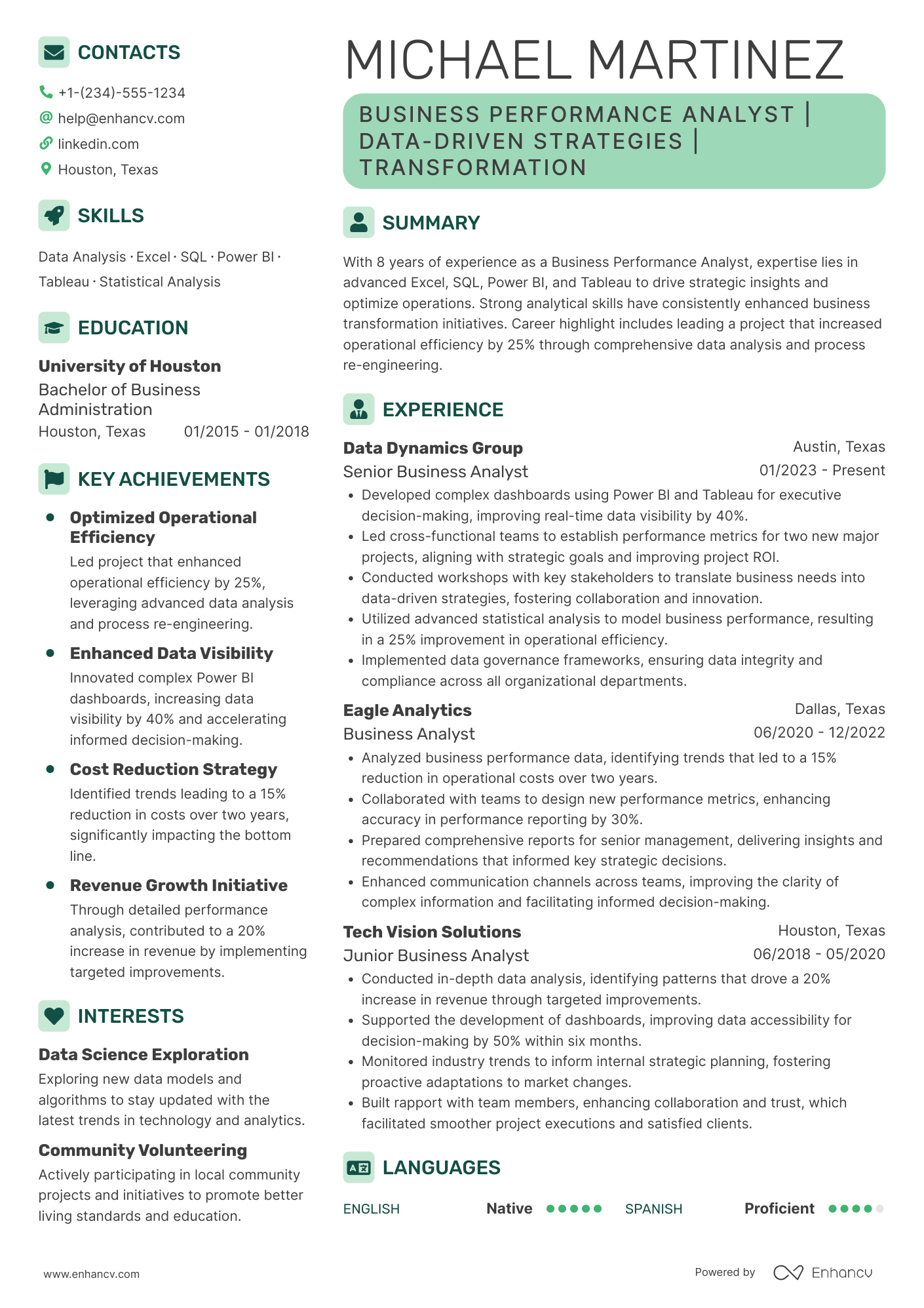 A resume example of a Business Performance Analyst