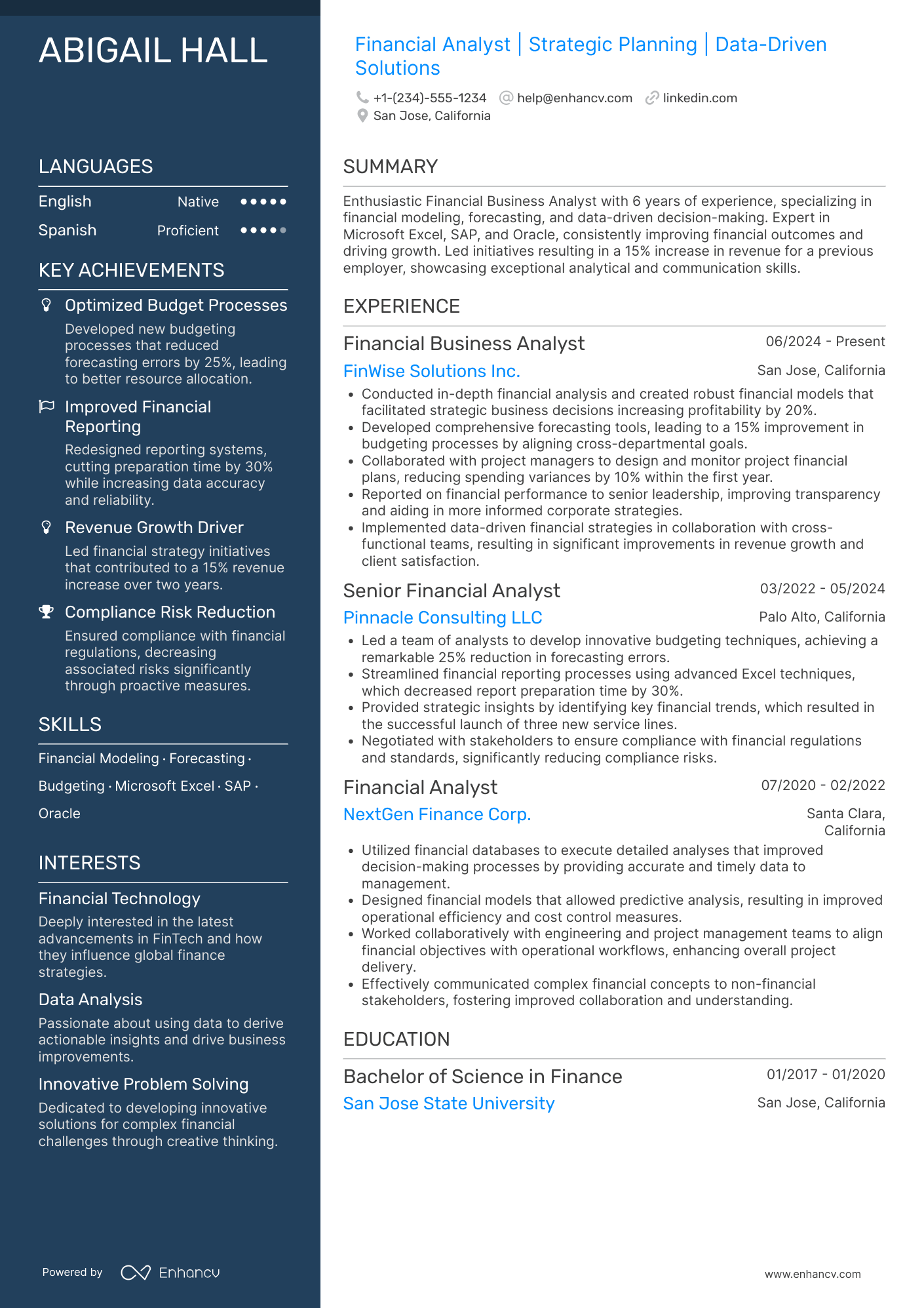 A resume example of a Financial Business Analyst
