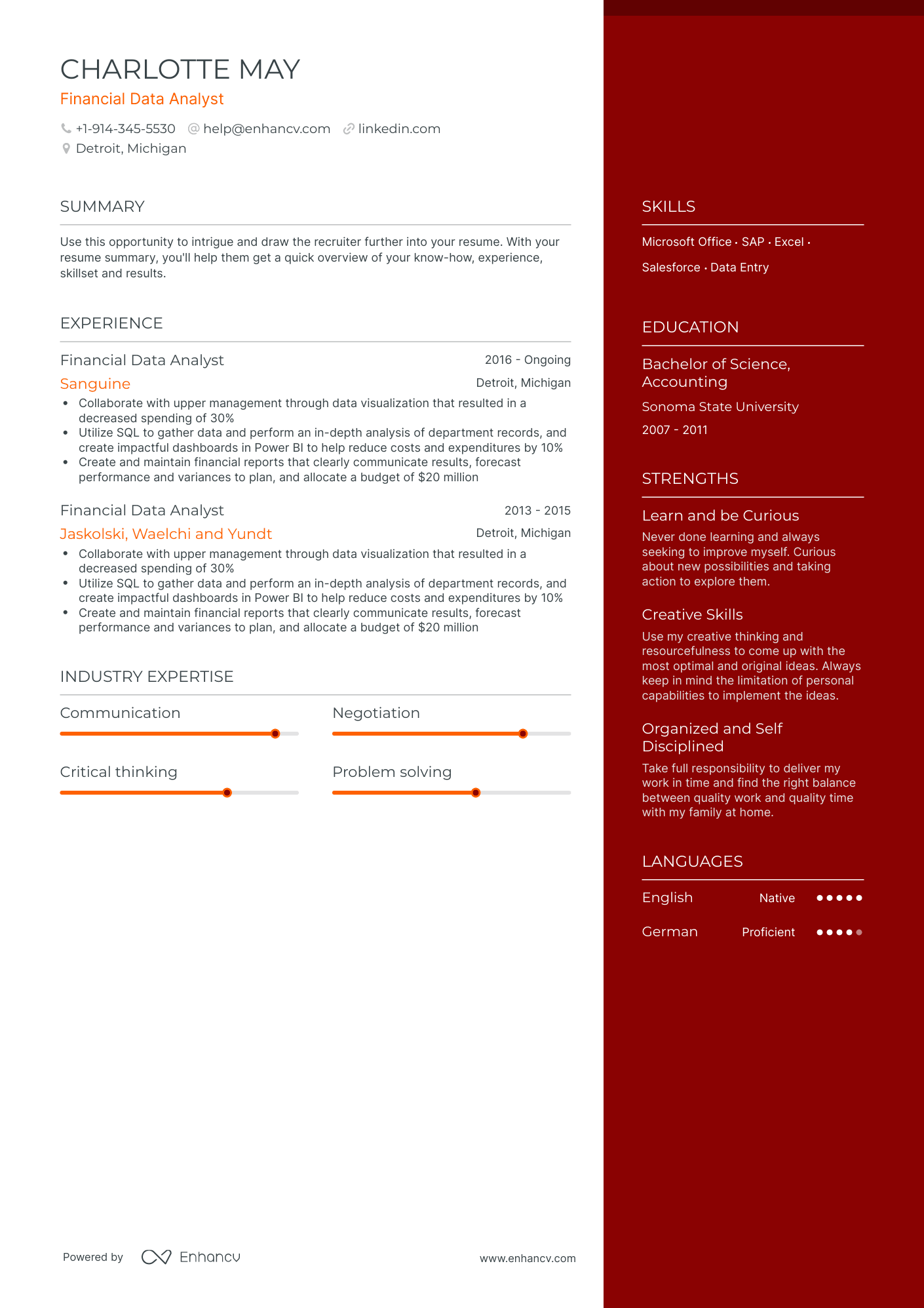 Financial Data Analyst Resume Examples & Guide for 2023 (Layout, Skills ...