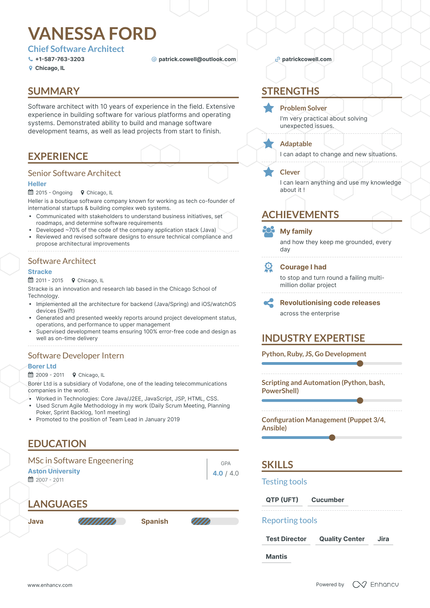 5 Software Architect Resume Examples & Guide for 2024