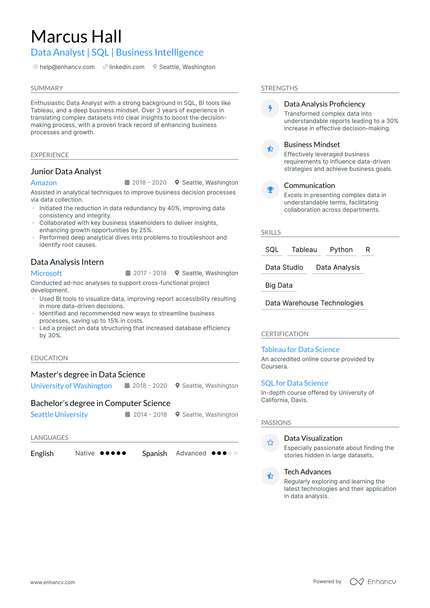 5 Data Analyst Intern Resume Examples & Guide for 2024