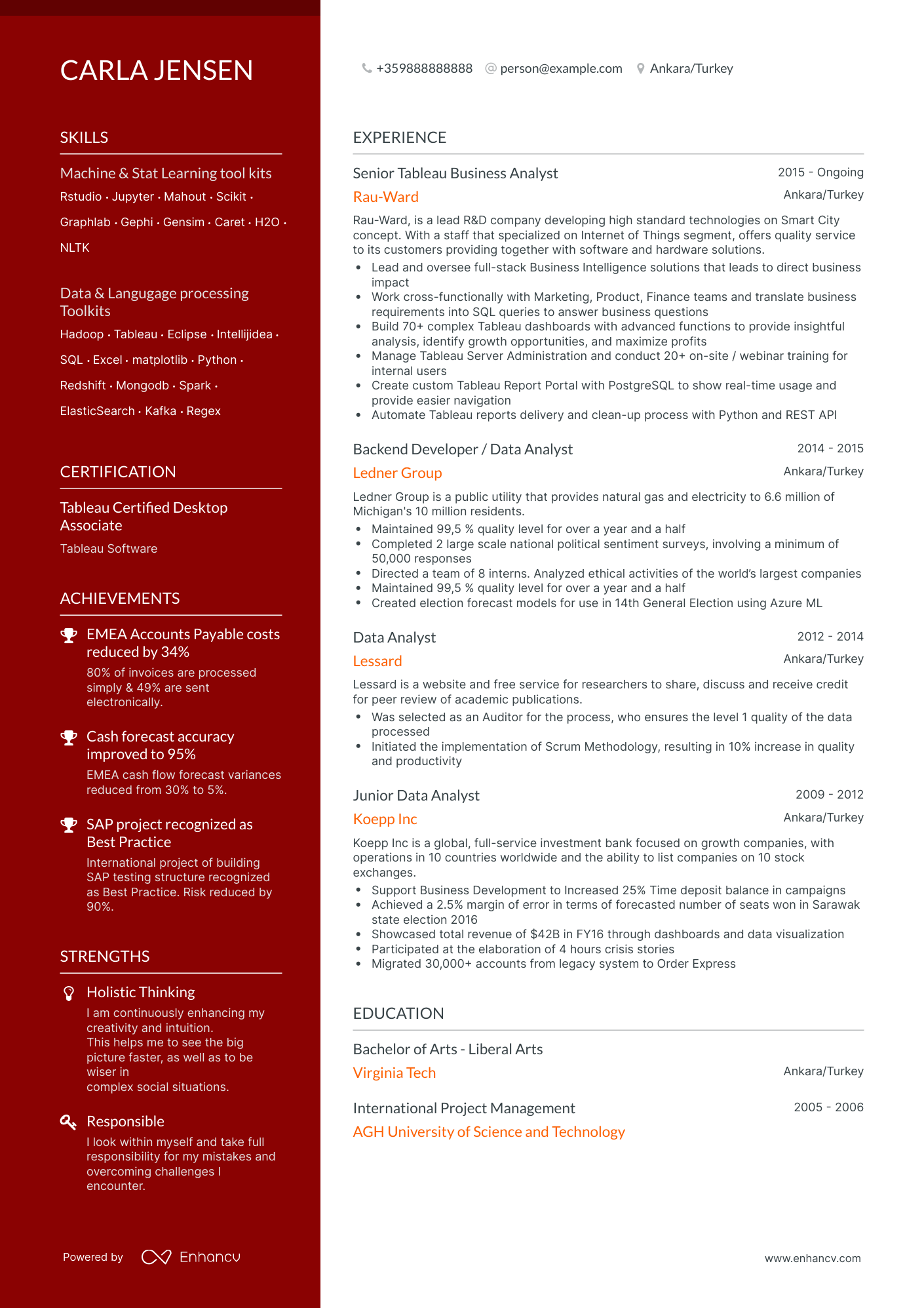 5 Tableau Business Analyst Resume Examples & Guide for 2024