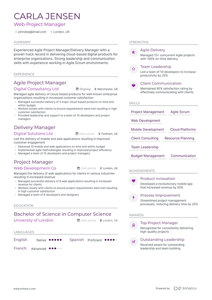 web project manager resume