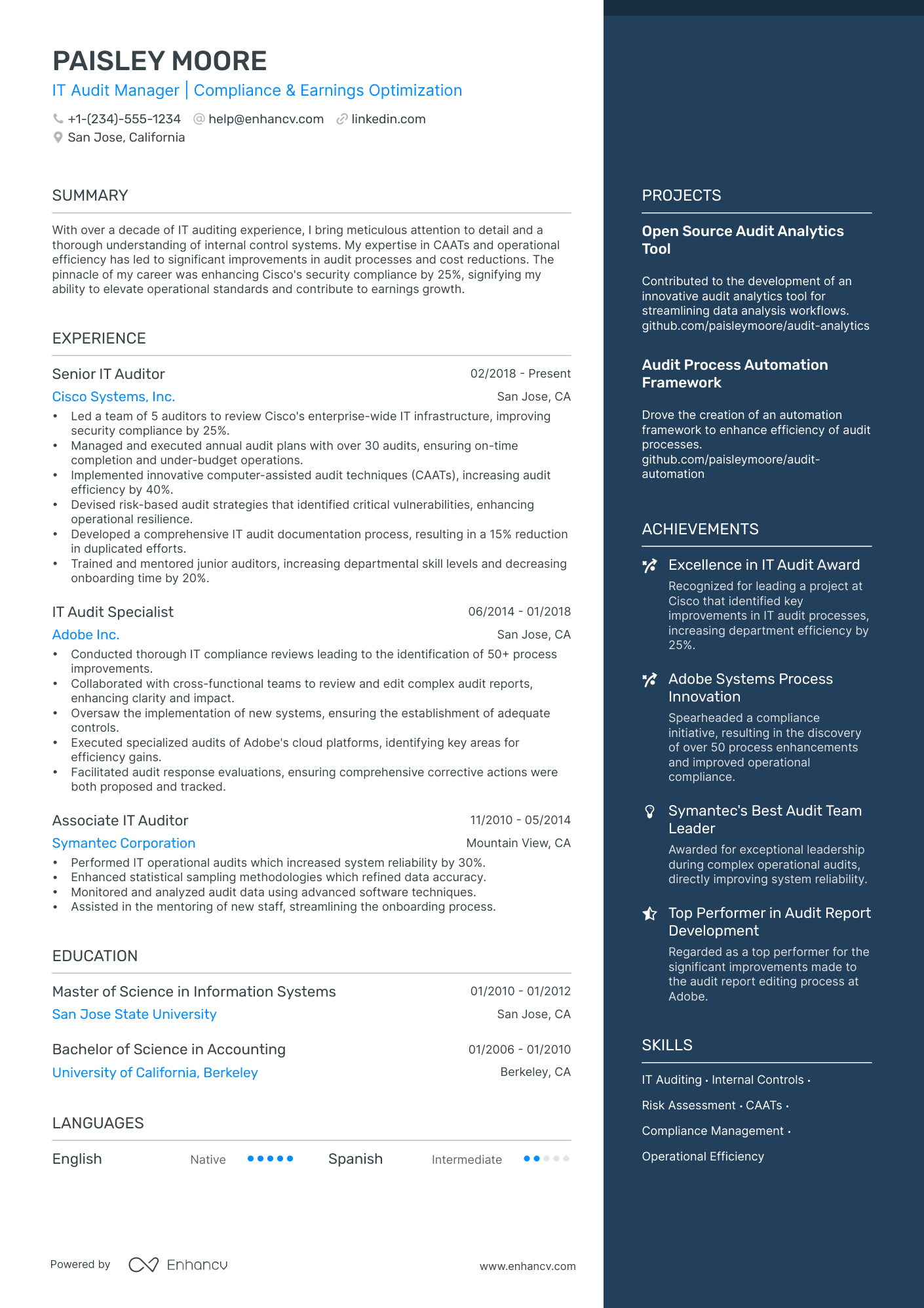 5 IT Audit Manager Resume Examples & Guide for 2024