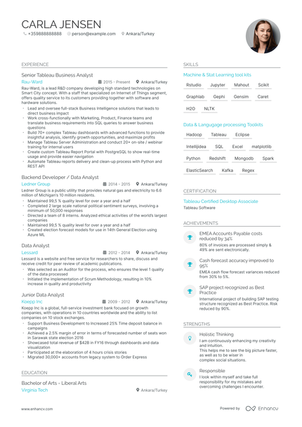 5 Tableau Business Analyst Resume Examples & Guide for 2024