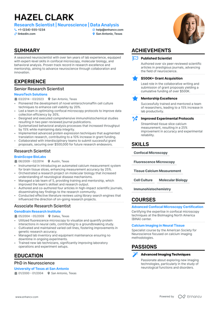Professor resume example