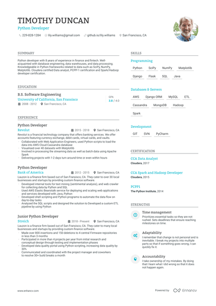 Python Developer resume example