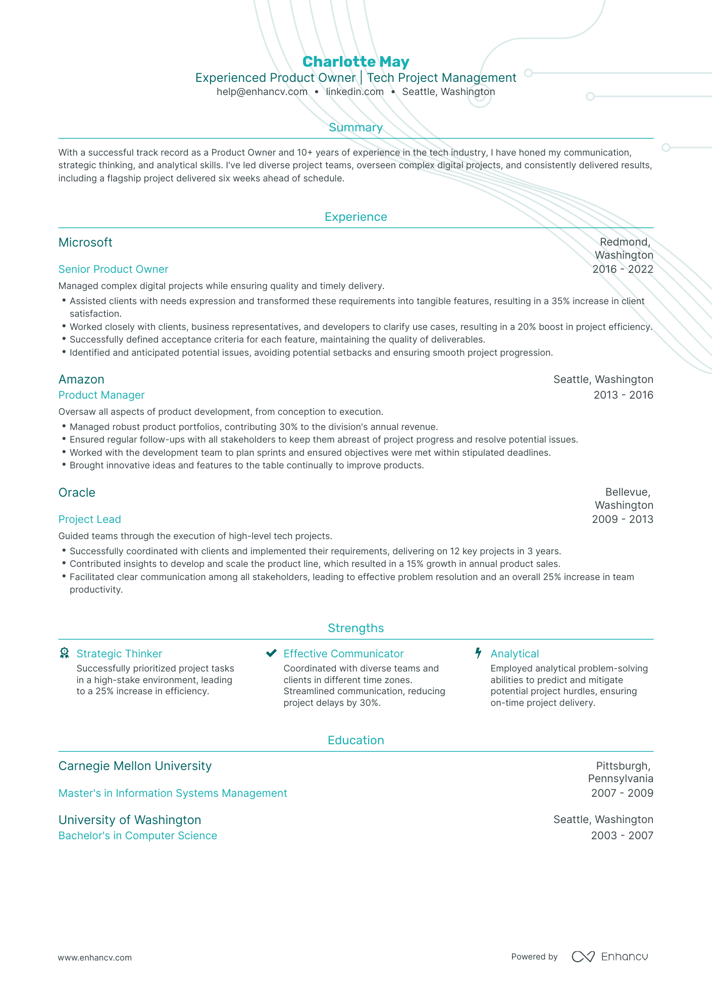 5 Product Owner Resume Examples & Guide for 2024