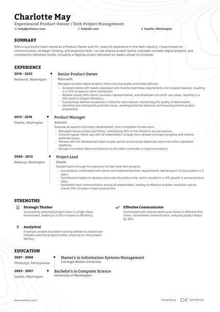 5 Product Owner Resume Examples & Guide for 2024