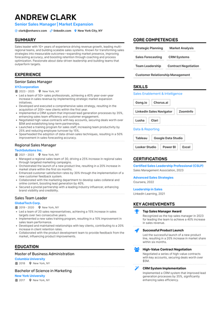 Sales Manager resume example