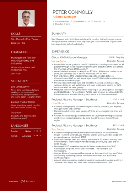 alliance-manager-resume-examples-guide-for-2023-layout-skills