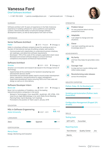 Software Architect resume example