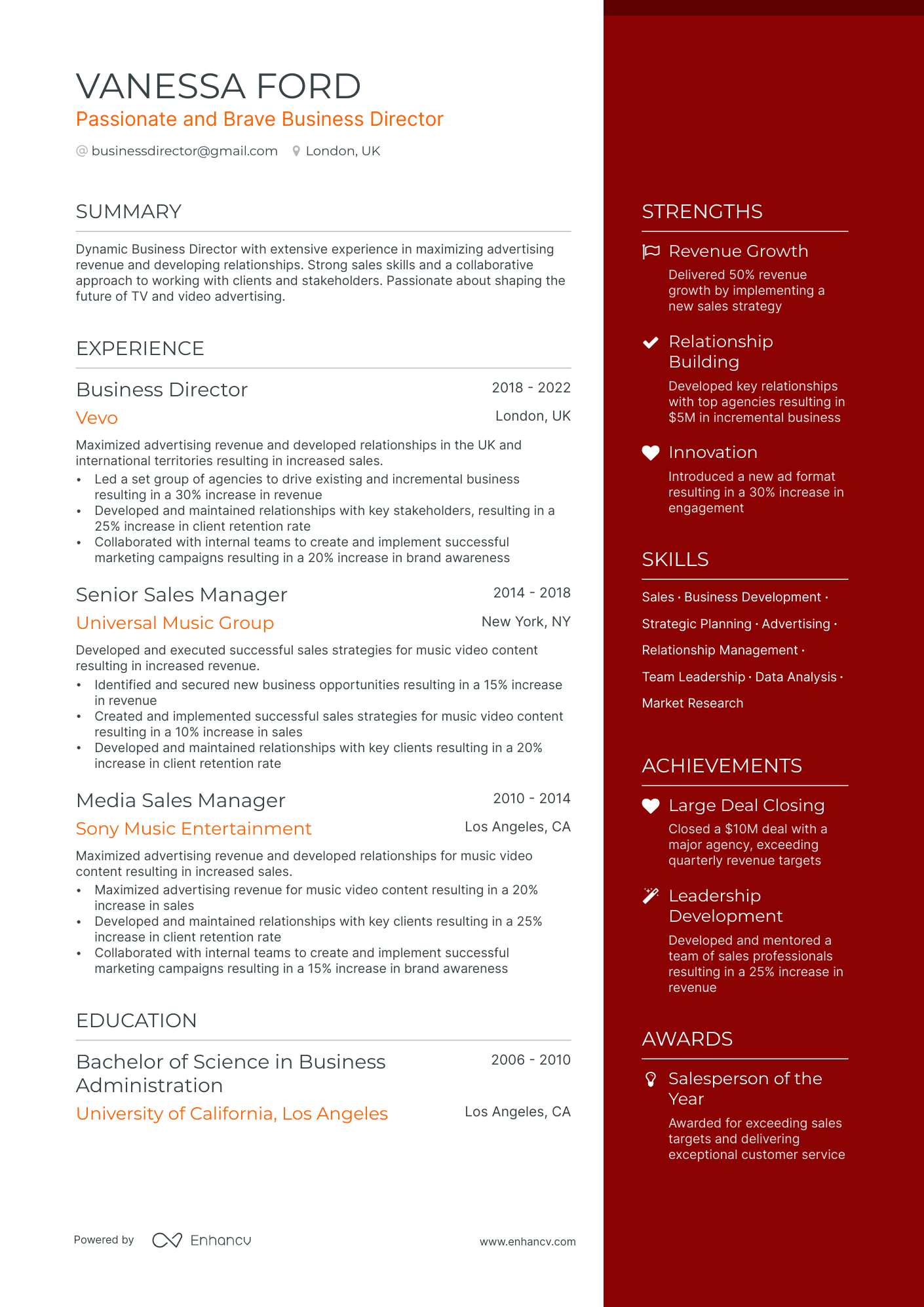 12 Director Resume Examples & Guide For 2024