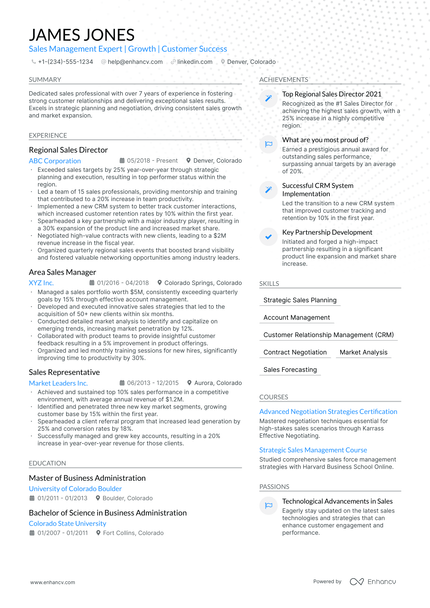 5 Territory Sales Manager Resume Examples & Guide for 2024