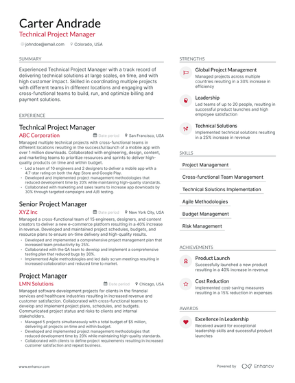 5 Technical Project Manager Resume Examples & Guide for 2024