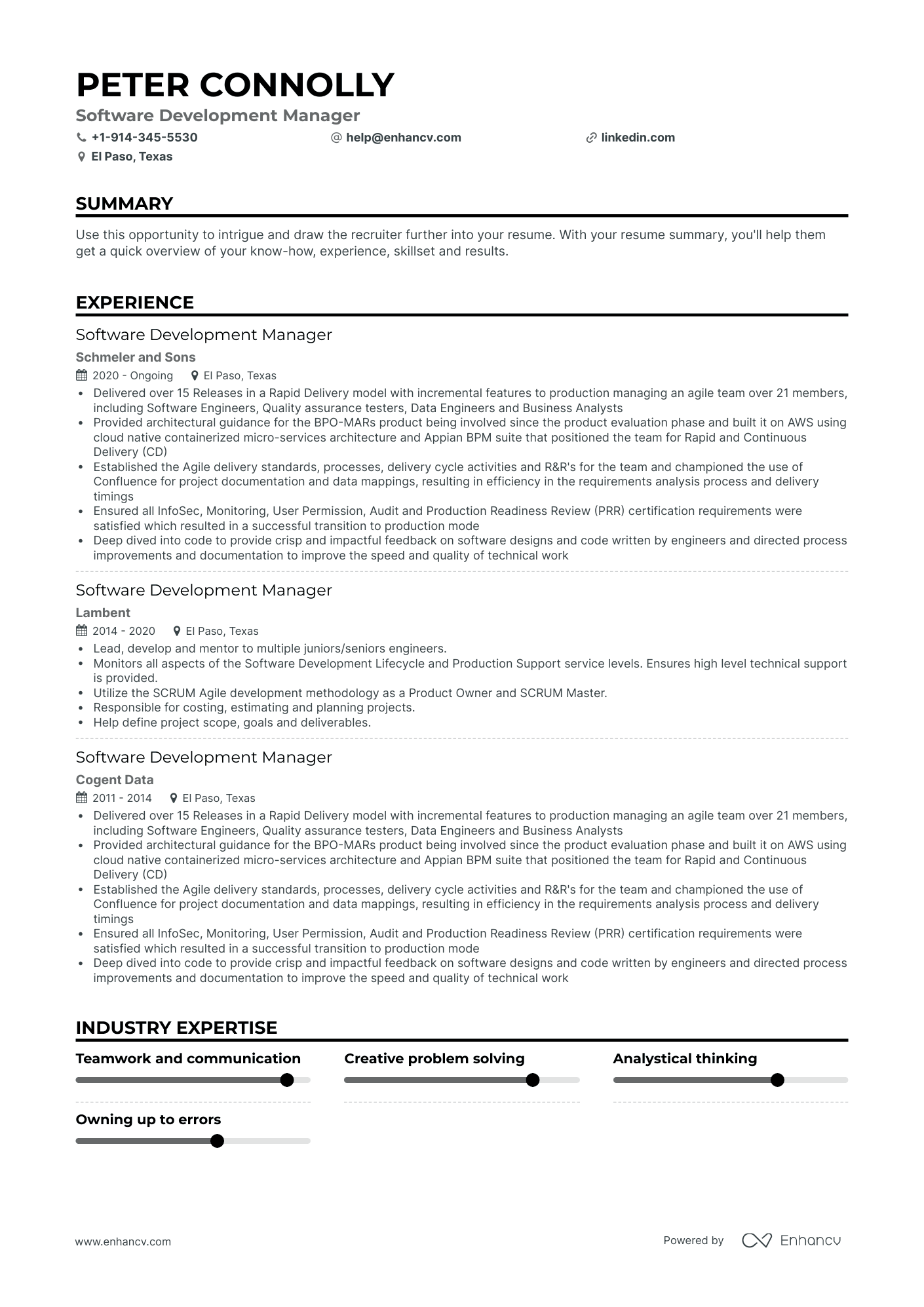 sample resume software development manager