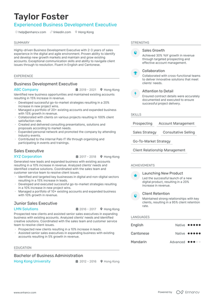 VP Business Development resume example
