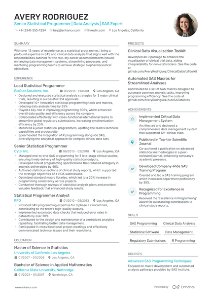 5 Statistical Programmer Resume Examples & Guide for 2024